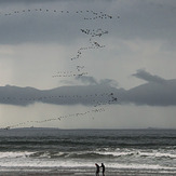 October Surf, Jenness Beach