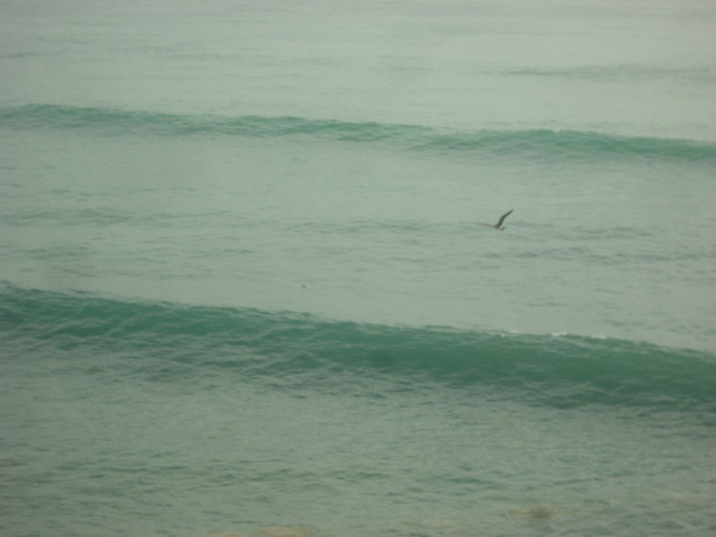 Surf Berbere Taghazout,Morocco, Hash Point