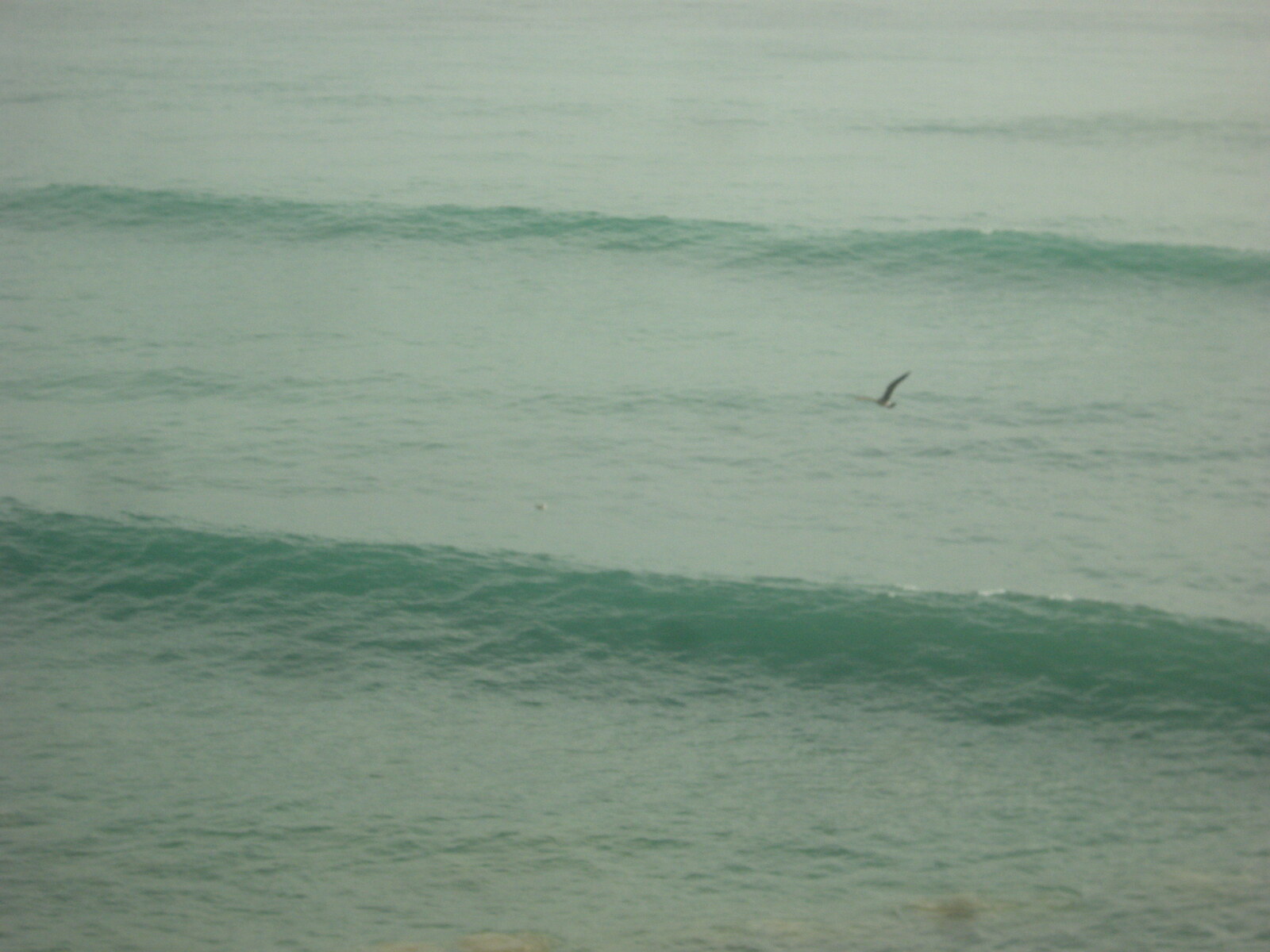 Surf Berbere Taghazout,Morocco, Hash Point