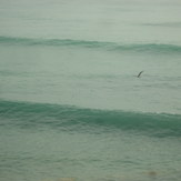 Surf Berbere Taghazout,Morocco, Hash Point