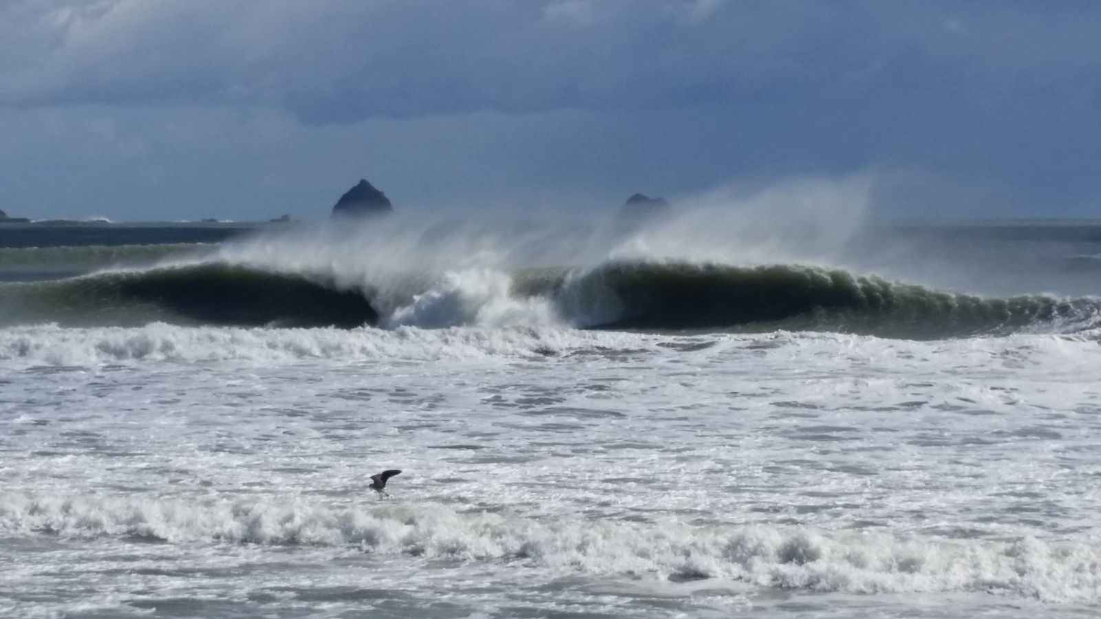 Mad offshore, Waiwakaiho