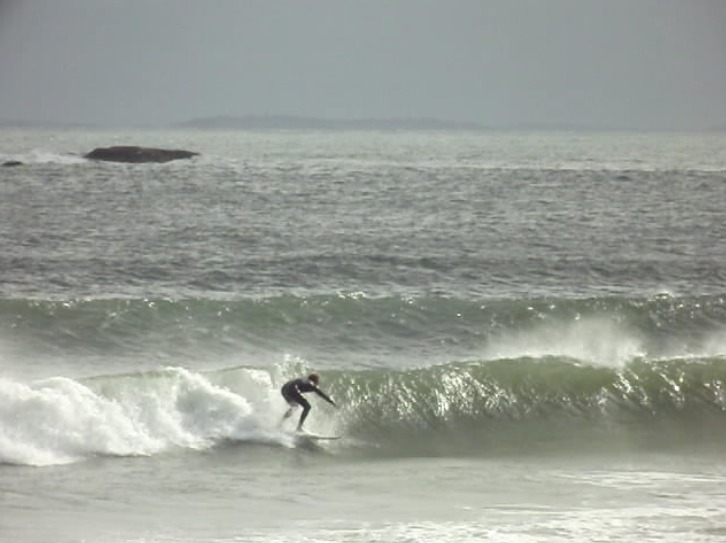 Surf forecasts new arrivals