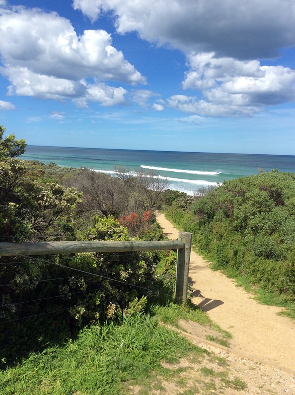 Anglesea Surf Forecast and Surf Report