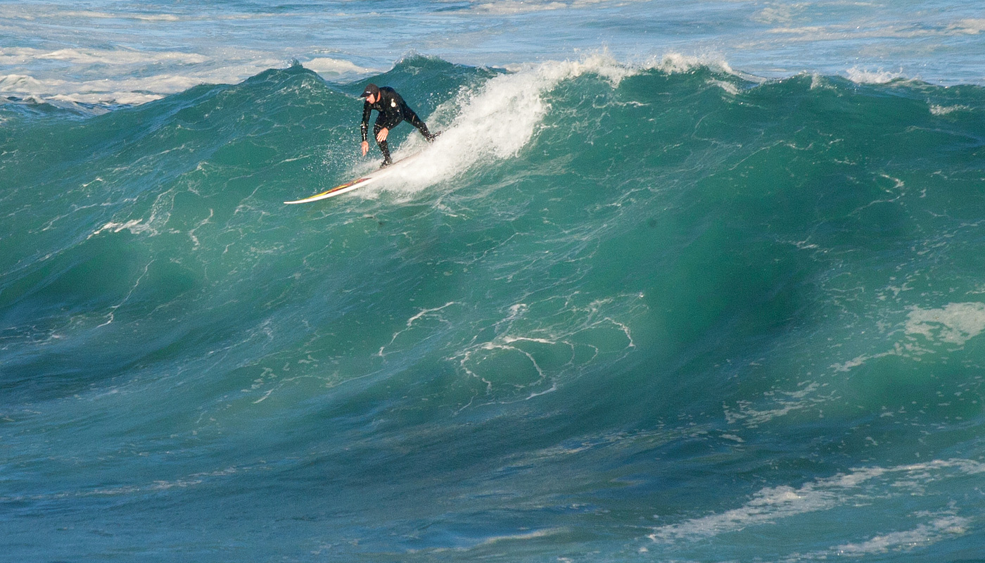 Howie is Local Legend, Coogee