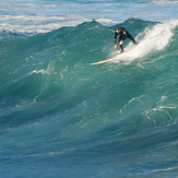 Howie is Local Legend, Coogee