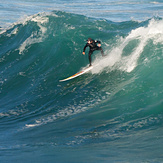 Howie is Local Legend, Coogee