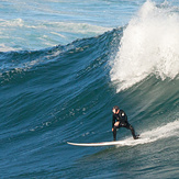 Howie is Local Legend, Coogee