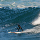 Howie is Local Legend, Coogee