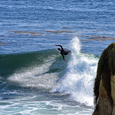 Andrew surfs the Slot, Steamer Lane-The Slot