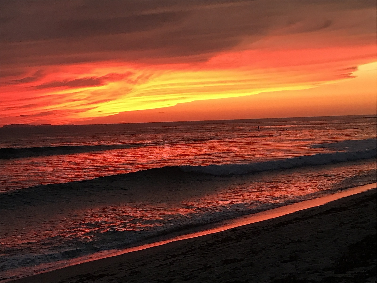 A few buddies, a few beers and a Happy Ending !, Burros