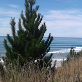 2.5m glassy rights, Waimarama