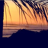 Surf Berbere Taghazout Morocco, Anchor Point