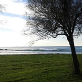 A pic in Matosinhos beach