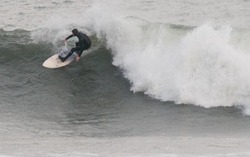Linkys photo