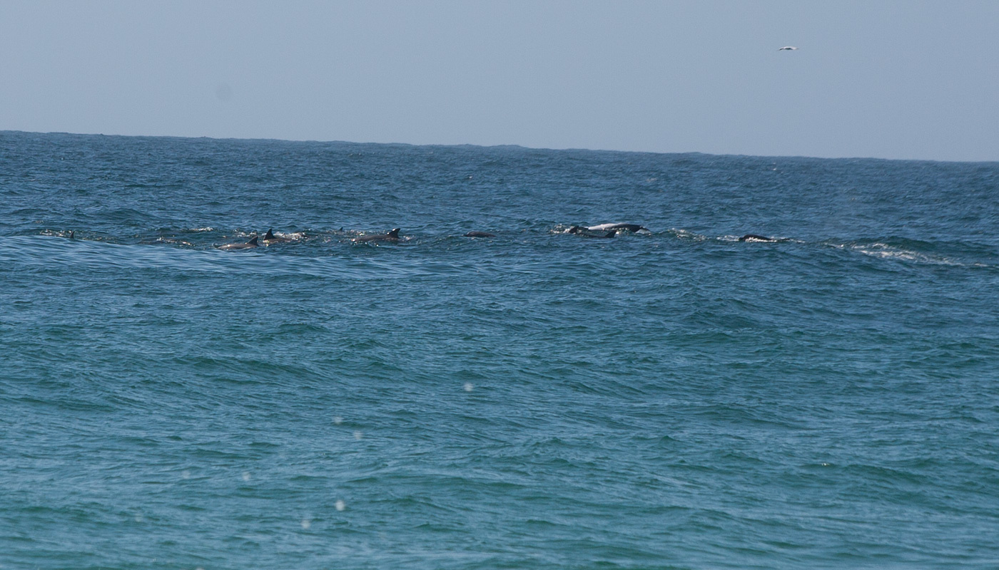 Summer of Surf at Tamarama, Tamarama Reef