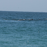 Summer of Surf at Tamarama, Tamarama Reef