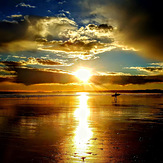 dawn patrol, Nantasket Beach