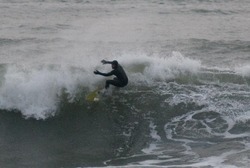 gray but big 2, Linkys photo