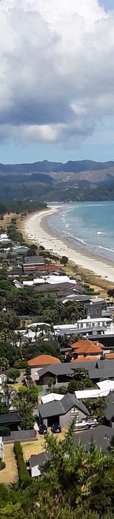 Matarangi Beach