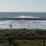 simplemente cai, Playa El Palmar