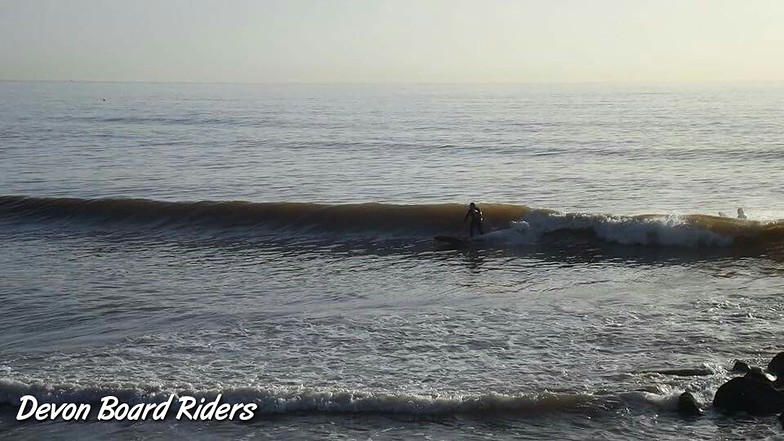 Peeling little right at Dawlish., Dawlish Warren