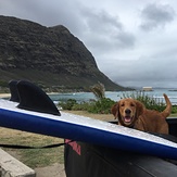 Good day for beginner surfing, Waimanalo