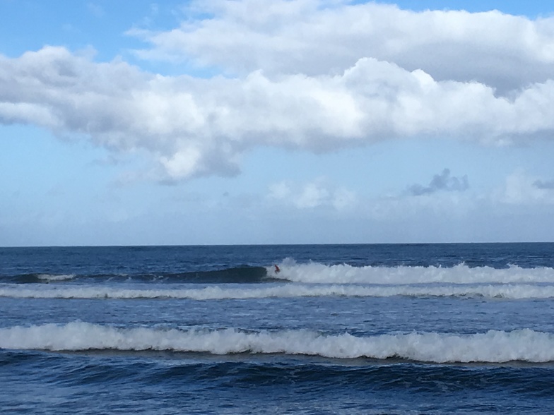 Haleiwa/Toilet Bowl surf break