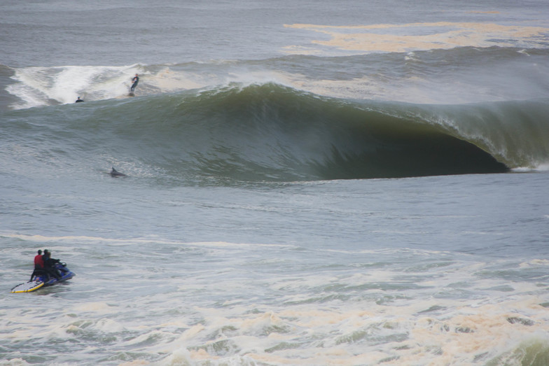 Dolphin Tubes