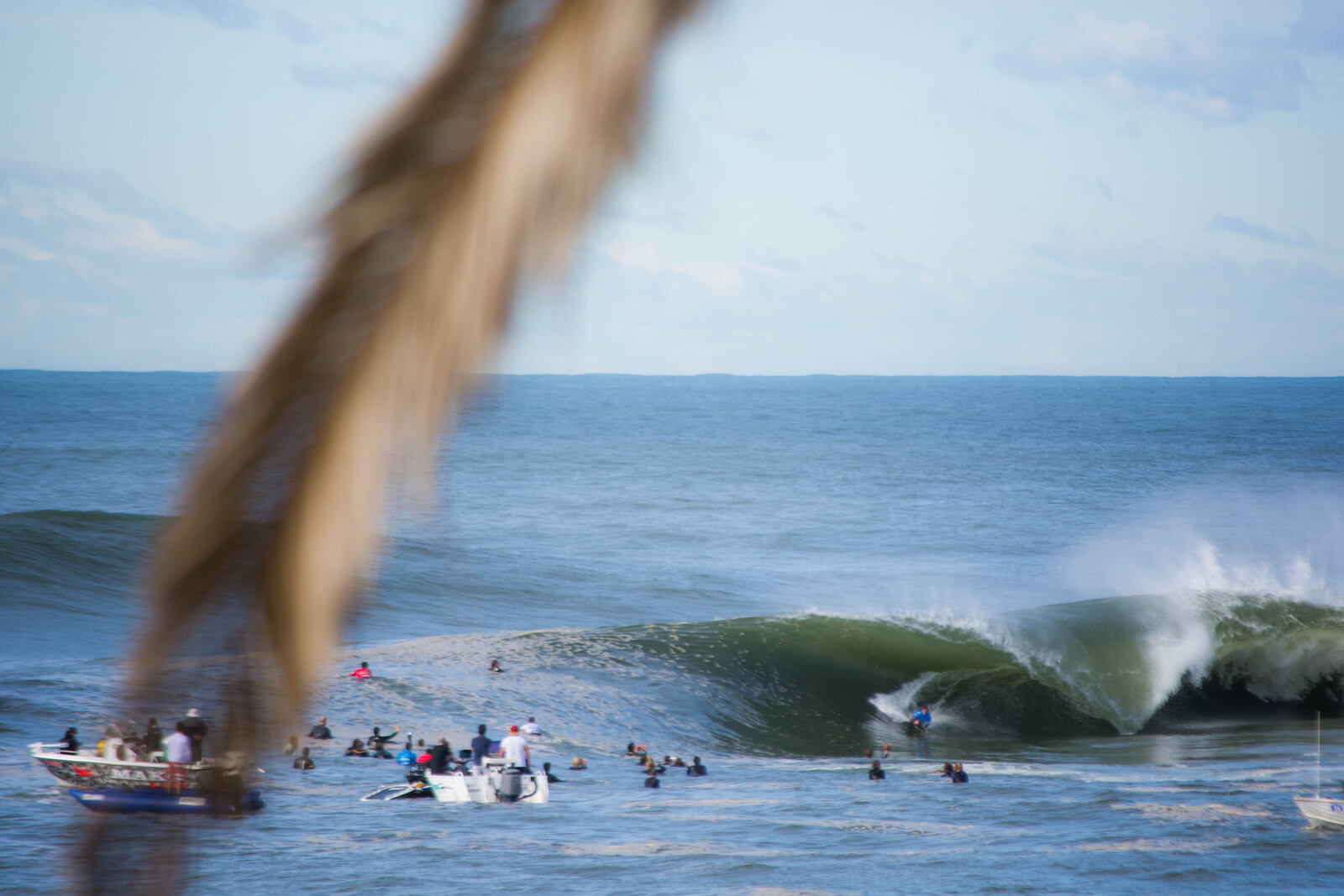 Shark Island Challenge, Shark Island (Cronulla)