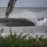 Perfection Cascade, Shark Island (Cronulla)