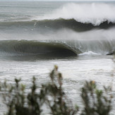 Bulged Lips, Shark Island (Cronulla)