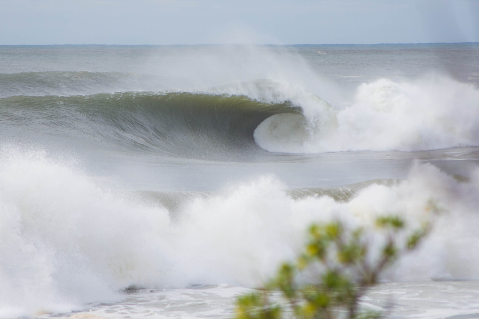 Traditional Reef, Shark Island (Cronulla)
