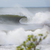 Traditional Reef, Shark Island (Cronulla)