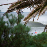 Through the Bushland, Shark Island (Cronulla)