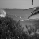 Bushcare, Shark Island (Cronulla)