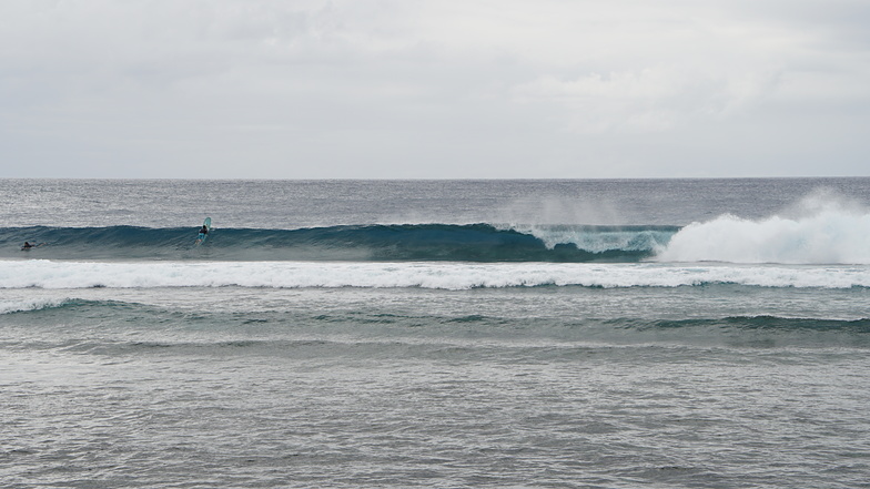 Long tube, Ricks Reef