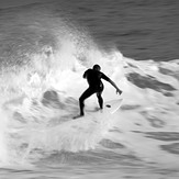 movement, Raglan-Whale Bay