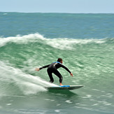 Movement, Raglan-Whale Bay
