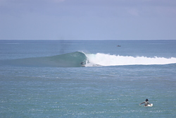 GH enjoying backhand, Lidos Right photo