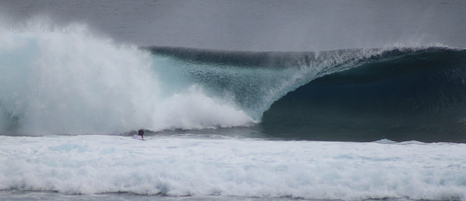 Nua-Should've seen the wave before.