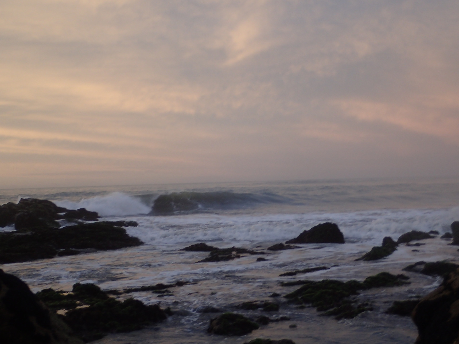 zest in the west, Little Wanganui