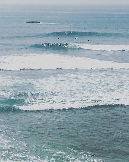 Best Of Beast, The Rock