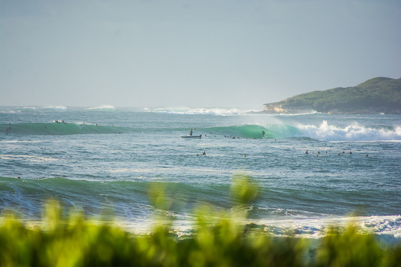 Perfect, Cronulla