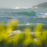 Crazy Days, Cronulla