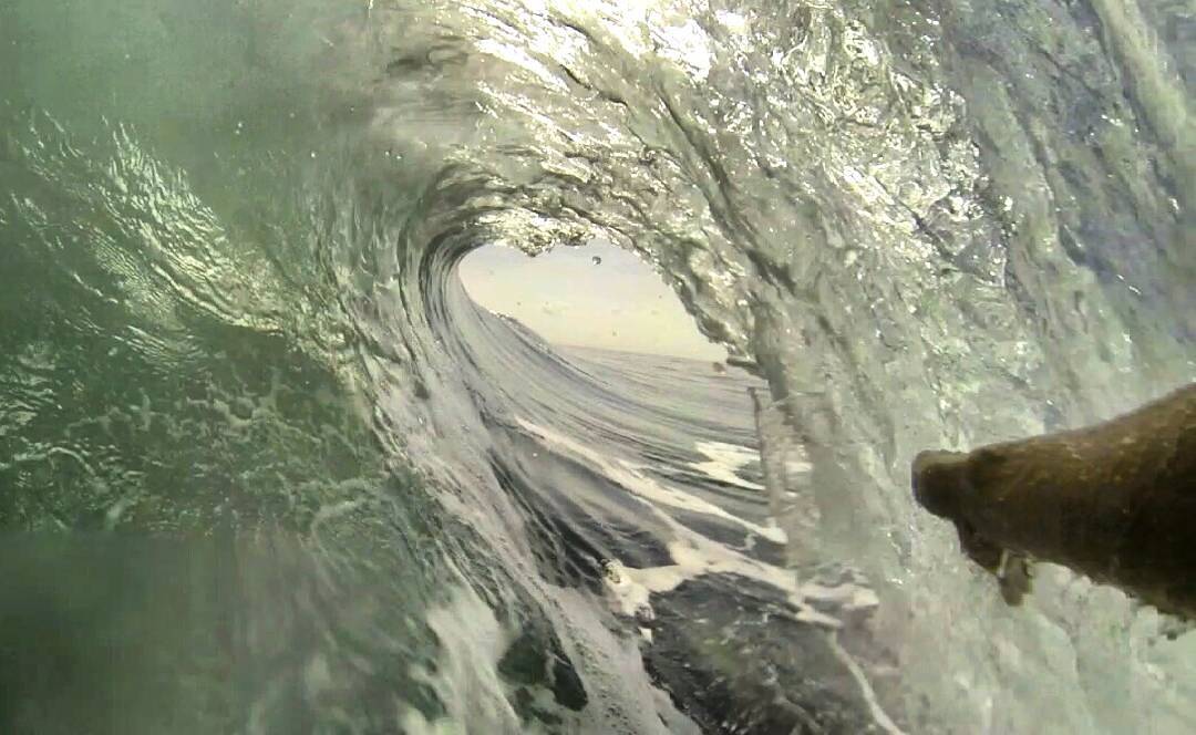 El Inglés., Colpipe