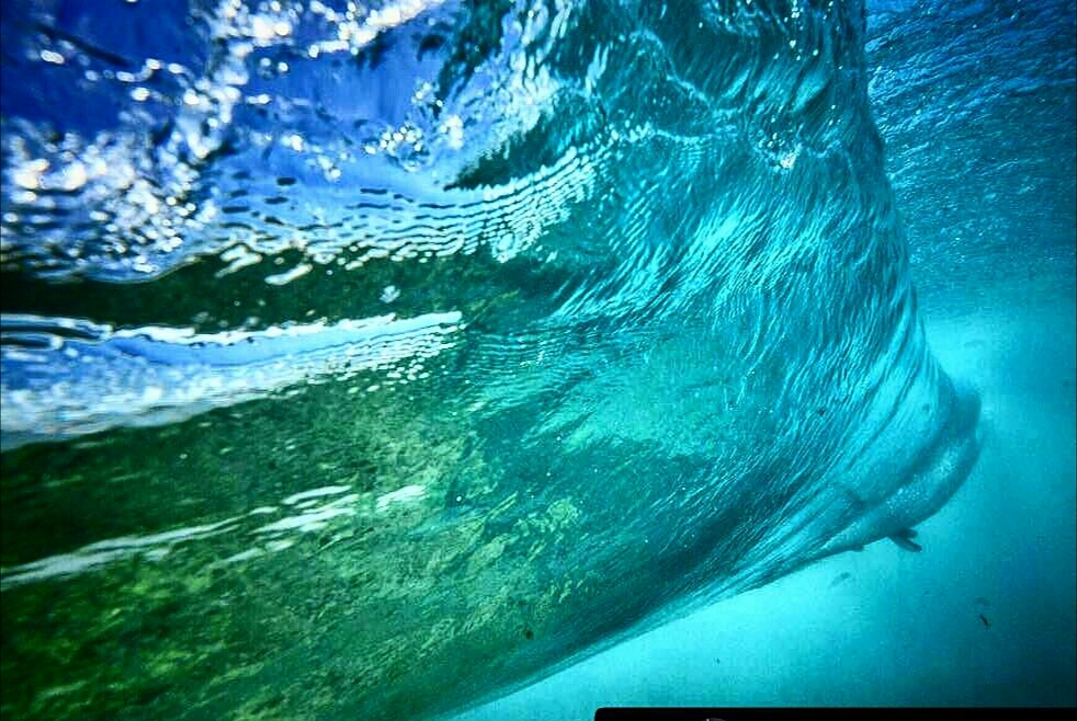 El Inglés., Colpipe