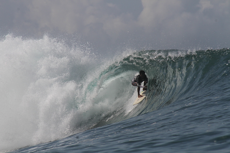love this left, super fun waves and barrels!!