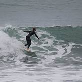 Pulls in, Raglan-Whale Bay