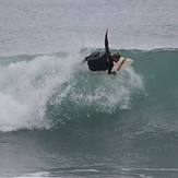 Snap of the top, Raglan-Whale Bay