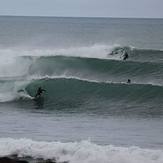 Lines, Raglan-Whale Bay